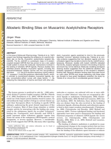 Allosteric Binding Sites on Muscarinic Acetylcholine Receptors