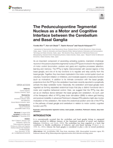 The Pedunculopontine Tegmental Nucleus as a Motor and