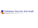 Database Access Controls and Security Measures