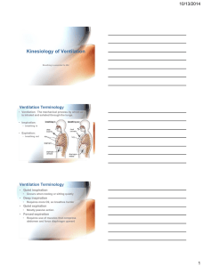 Kinesiology of Ventilation