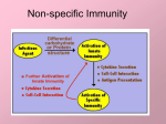 Non-specific Immunity