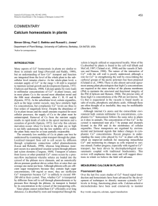 Calcium homeostasis in plants