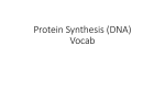 Protein Synthesis (DNA) Vocab