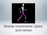 Muscle movements, types, and names Types of body movements