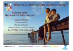 What is an information object anyway?