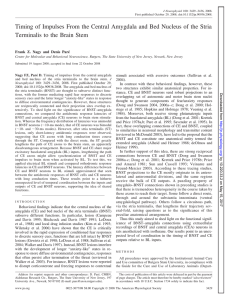 Timing of Impulses From the Central Amygdala and Bed Nucleus of