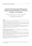 Isolated Fetal Endocardial Fibroelastosis Diagnosed and