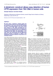 A dicistronic construct allows easy detection of human CFTR