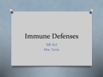 Immune System ppt