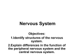 Nervous System functions