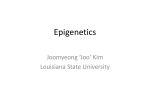 Epigenetics - Louisiana State University