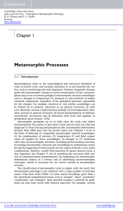 Metamorphic Processes - Assets