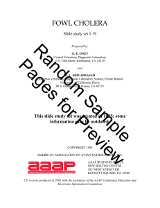fowl cholera - American Association of Avian Pathologists