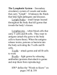 The Lymphatic System – Secondary circulatory system of vessels