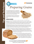 Grains Tips and Techniques - University of Tennessee Institute of