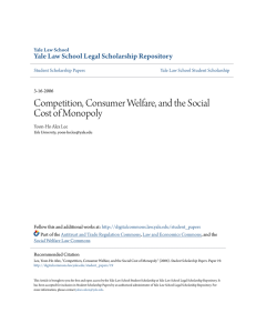 Competition, Consumer Welfare, and the Social Cost of Monopoly