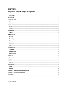 CROPTIME Vegetable Growth Stage Descriptions