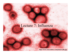 Lecture 12: Influenza