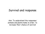 Survival and response 2