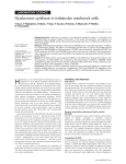 Hyaluronan synthase in trabecular meshwork cells