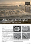 Ocean iron fertilisation