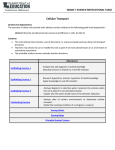 Cellular Transport PDF