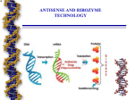 Gene Therapy and Transgenic Animals