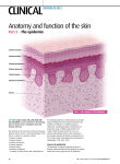 060808Anatomy and function of the skin part 2