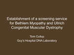 Establishment of a screening service for BM and UCMD