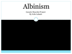 Albinism - SunCFB3