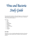 virus-bacteria study guide