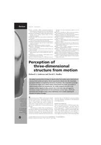 Perception of three-dimensional structure from motion