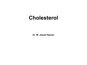 Cholesterol Metabolism_MJH
