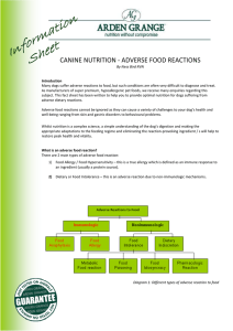 canine nutrition - adverse food reactions