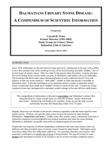 dalmatians urinary stone disease