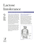 Lactose Intolerance - Andrew Gottesman, MD