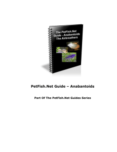 PetFish.Net Guide
