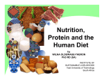 nutrition, protein and the human diet