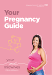 Your Pregnancy Guide