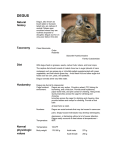 PDF version - Lafeber Company