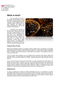 What is Acai? - Nova Pacific Co.,Ltd.