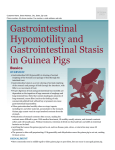 Gastrointestinal Hypomotility Stasis In Guinea Pigs