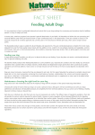 Facts on Feeding Adult Dogs