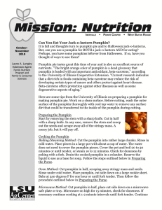 Mission Nutrition Newsletter oct nov 2010 version 2