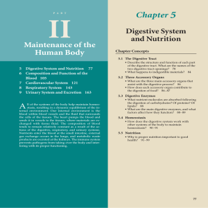 II 5 Chapter Maintenance of the