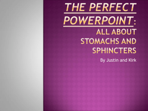 The Perfect PowerPoint: All about Stomachs and Sphincters