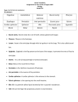 Digestion Assimilation Holozoic nutrition Buccal cavity Pharynx