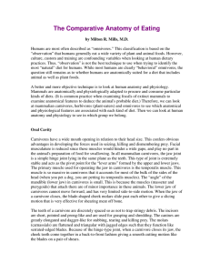 The Comparative Anatomy of Eating