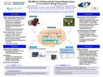 PALMS-CI A Policy-driven Cyberinfrastructure 2010