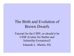 The Birth and Evolution of Brown Dwarfs